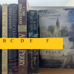 Fiction - Mixed fiction