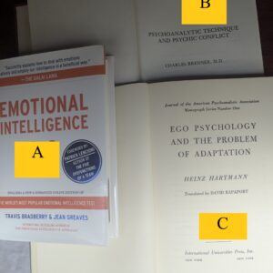 Psych - Hardcover 2